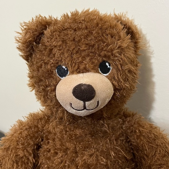 Build a Bear Birthday Bear - Sings Into The Unknown - Elsa Frozen - Picture 3 of 12